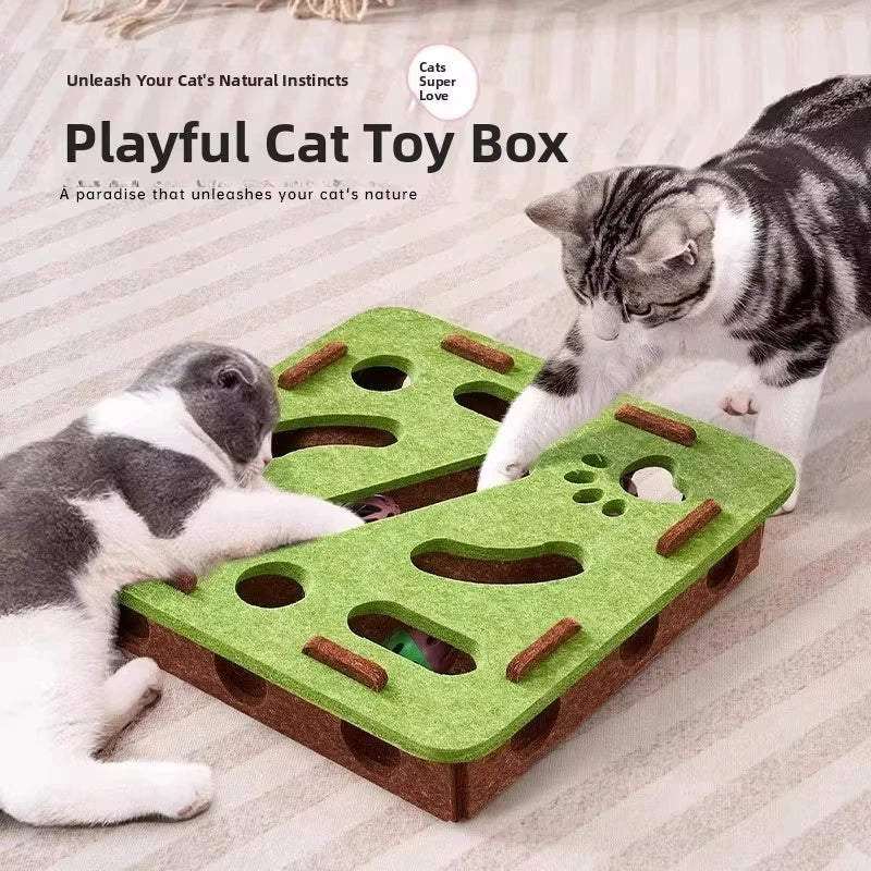 Playful Paws Puzzle Box